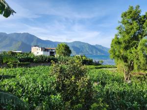 圣佩德罗拉拉古纳Magical Lakehouse Steps From All the Fun的从农场眺望水面，远处群山环绕。