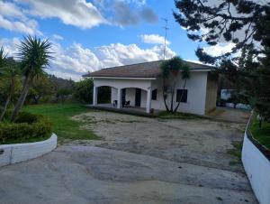 a small white house with palm trees in front of it at Odori di zagara in Caltanissetta