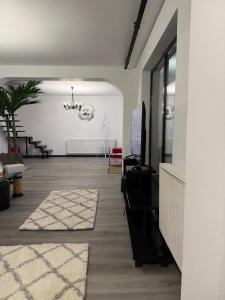 克拉约瓦Central Villa的带沙发和枝形吊灯的客厅