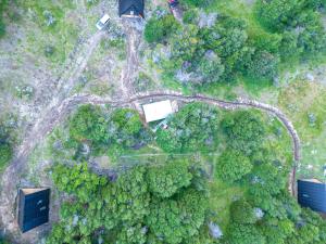 OUTSCAPE l Preciosa Cabaña en Villa Castillo في فيلا سيرو كاستيلو: اطلالة علوية على غابة مع طريق