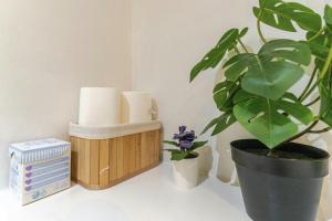 Knihovna v apartmánu