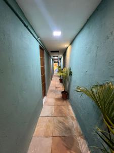 オリンダにあるPousada e Restaurante Morena Raizの鉢植えの廊下