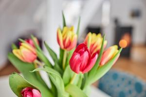 un bouquet de fleurs colorées dans un vase dans l'établissement Komfortables Ferienhaus In Purer Natur, à Edertal 32 autres photos