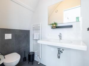 une salle de bain avec un lavabo et des toilettes dans l'établissement Lakehouse I, à Uitgeest 17 autres photos