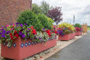 a row of flowerpots filled with flowers and plants at Meals Farm - Courtyard Room in North Somercotes