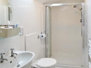 a bathroom with a sink and a toilet and a shower at Ferguson in Warenford