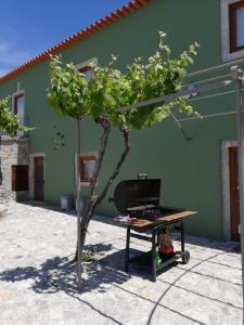 un arbre en face d'un bâtiment verdoyant avec un grill dans l'établissement Casa Da Padeira, à Afife