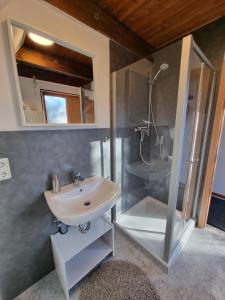 une salle de bain avec lavabo et douche dans l'établissement Ferienhaus Marie 125, à Bad Arolsen