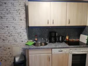 eine Küche mit Spüle und Arbeitsplatte in der Unterkunft Kleine Ferienwohnung in Freital bei Dresden in Freital