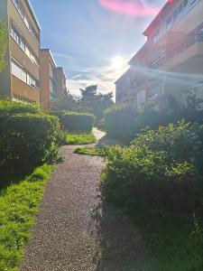 einen Gang zwischen zwei Gebäuden neben einem Gebäude in der Unterkunft Locations de Chambres Proches de Paris à Massy in Massy