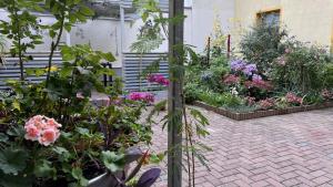 Zahrada ubytování Apartment Marktgeflüster