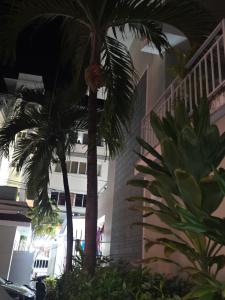 duas palmeiras em frente a um prédio em Sol del Mar Caribe em Punta Cana