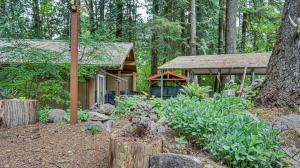 Κήπος έξω από το BearlyMuvin Cabin