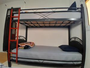 a bunk bed with a ladder next to a bunk bed with a bunk beduten at Arch Guesthouse - Dorm for Budget Travelers in Tangier in Tangier