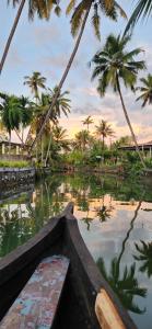 un bateau dans une étendue d'eau plantée de palmiers dans l'établissement Villaggio Homey, à Munroe Island