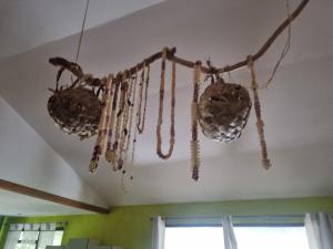 Afbeelding uit fotogalerij van Fare Mape in Faaa