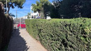 Zahrada ubytování Planta Baja en La Zenia Beach