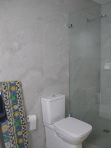 ein Badezimmer mit Toilette und Glasdusche in der Unterkunft Delegate Studio Cabin in Delegate