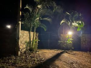 Zahrada ubytování Casa Mila