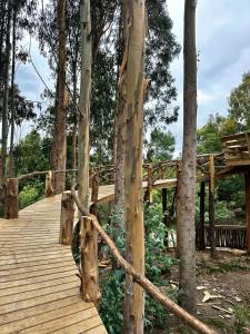 un puente de madera en medio de los árboles en House in the Maule River Bay, en Constitución