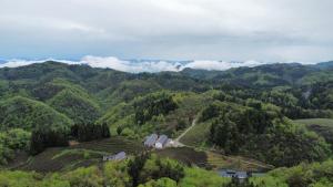 Galeriebild der Unterkunft 阅山居客栈 in Zhangjiajie