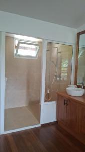 a bathroom with a shower and a sink and a toilet at La Case in Rémiré