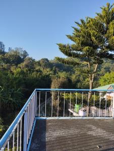a stairway with a blue railing and a tree at Pinewood Retreat in Bilāspur