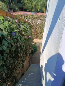 l'ombra di una persona che scende una scala di Apartamento Maleiwa a Dibulla