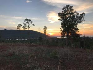 a field with trees and the sunset in the background at Nicolas Homestay Mekong Home in Pakse +40 photos