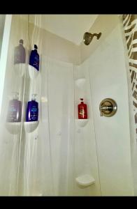 a bathroom with a shower with two bottles of soap at Cozy 1bdrm,highfalls, Wi-fi, Dt, Shopping, Cozy in Rochester
