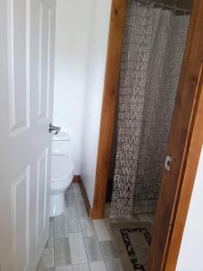 een badkamer met een toilet en een douche bij CABAÑA CON ACCESO A RIO in Coihaique +7 foto's