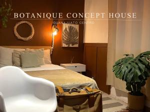 - une chambre avec un lit, une chaise et une plante dans l'établissement Botanique Concept House Guanajuato Centro, à Guanajuato