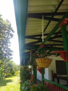 Zahrada ubytování Villa Alejandra + 2 fotografie