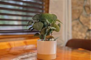 a plant in a white vase on a table at Cabin 21- Accessible Unit & King Bed in Estes Park