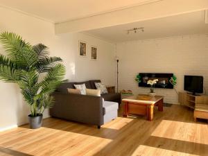 罗斯巴德BAY VIEWS Paradise的带沙发和棕榈树的客厅