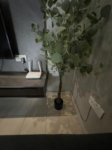 Fotografie z fotogalerie ubytování UdaEdy Homestay v destinaci Kampong Kemaman