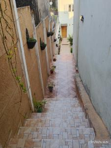 Fotografie z fotogalerie ubytování Juacema v Sao Paulu