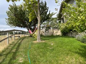 a hose hooked up to a tree in a yard at Central Otago Farmlet in Alexandra