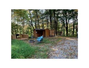 una cabina nel bosco con una panchina nel cortile di Papa Bear Cabin 