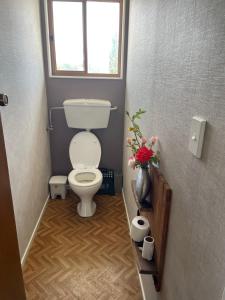 a small bathroom with a toilet and a window at Central Otago Farmlet in Alexandra