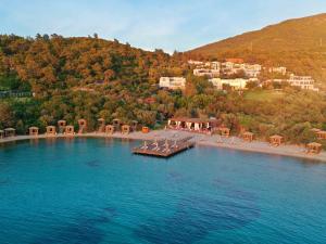 an aerial view of a resort on a beach at Rixos Premium Bodrum in Torba