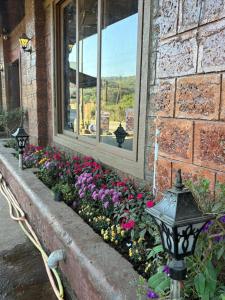 Un jardín de flores frente a un edificio con una ventana. en Art of greens, en Mahabaleshwar