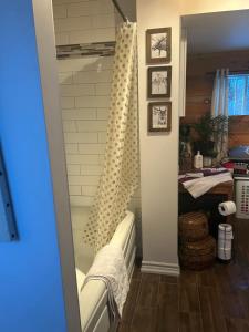 Koupelna v ubytování Le petit chalet Chertsey