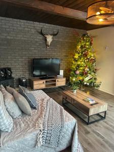 TV a/nebo společenská místnost v ubytování Le petit chalet Chertsey