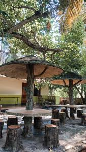 Κήπος έξω από το Munroe Mangrove Forest Lake Holidays Resorts