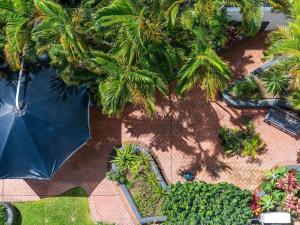 an overhead view of a garden with a black umbrella at BreakFree Royal Harbour in Cairns