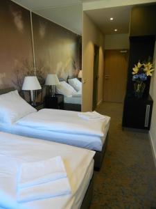 A bed or beds in a room at Hotel Bílý Páv