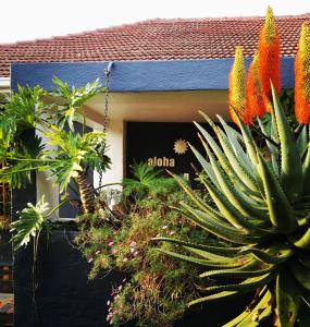 a group of plants in front of a house at Aloha Lodge in Cape Town