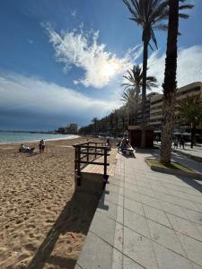 a bench on a beach with palm trees and the ocean at Rinconcito de Catalina in Torrevieja