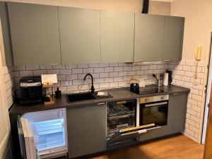 Kuchyň nebo kuchyňský kout v ubytování Altstadtquartier Hagenstraße